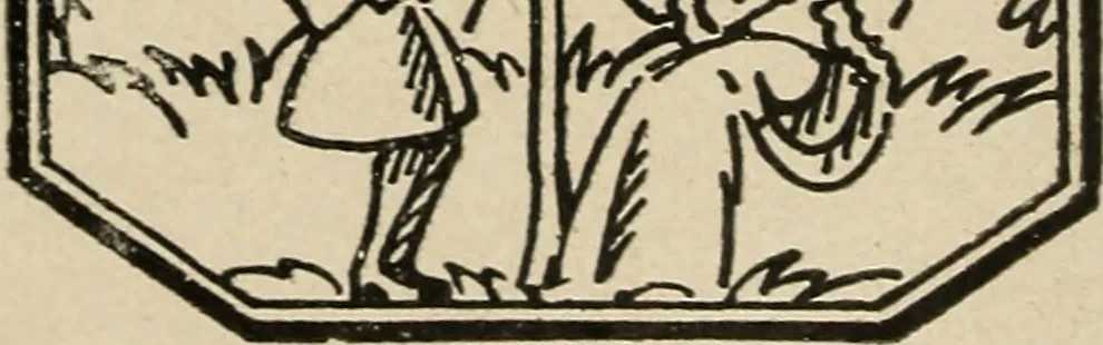 An illustration from Bernstein, 1920, leaf 147