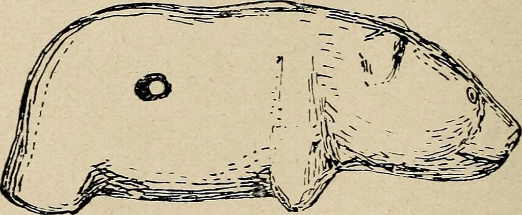 An illustration from Bernstein, 1920, leaf 23