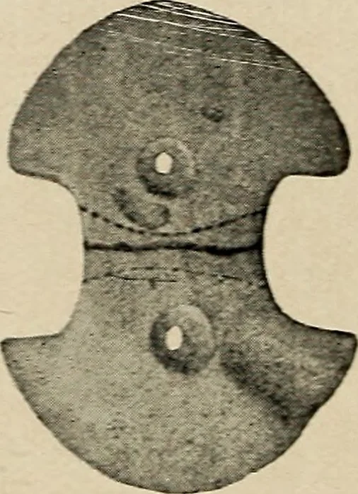 An illustration from Bernstein, 1920, leaf 25