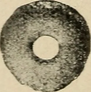 An illustration from Bernstein, 1920, leaf 25