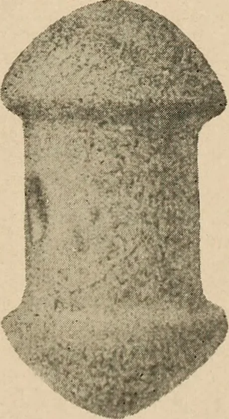 An illustration from Bernstein, 1920, leaf 26