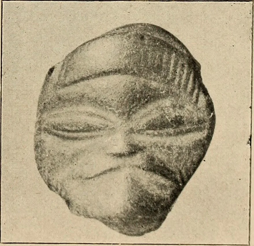 An illustration from Bernstein, 1920, leaf 30