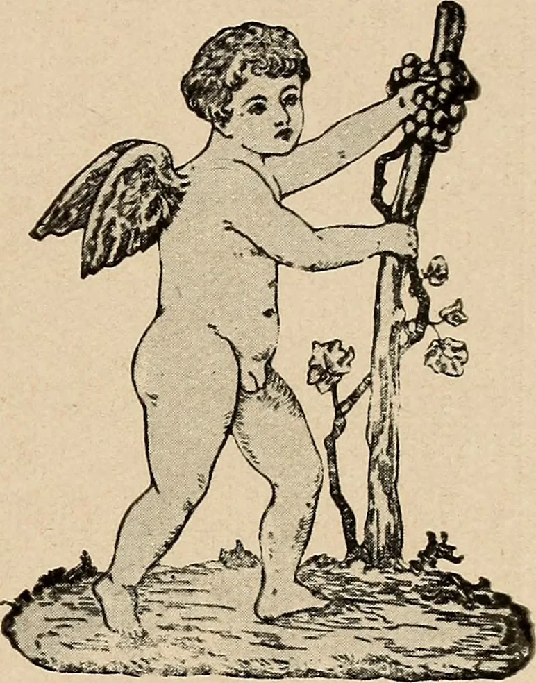 An illustration from Bernstein, 1920, leaf 34