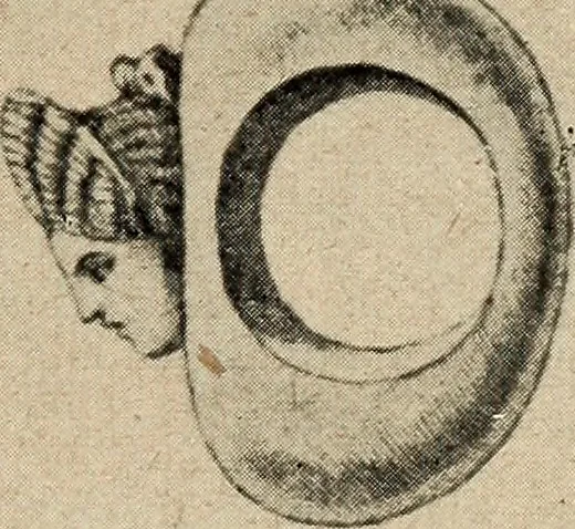 An illustration from Bernstein, 1920, leaf 36