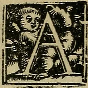 An illustration from Bertrucii Bononiensis, medici sua tempestate famigeratissimi Compendium sive (ut vulgo inscribitur) Collectorium artis medicae : tam practicae quam speculativ[a]e, 1537, leaf 119