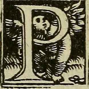 An illustration from Bertrucii Bononiensis, medici sua tempestate famigeratissimi Compendium sive (ut vulgo inscribitur) Collectorium artis medicae : tam practicae quam speculativ[a]e, 1537, leaf 147