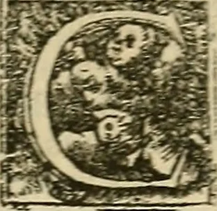 An illustration from Bertrucii Bononiensis, medici sua tempestate famigeratissimi Compendium sive (ut vulgo inscribitur) Collectorium artis medicae : tam practicae quam speculativ[a]e, 1537, leaf 196