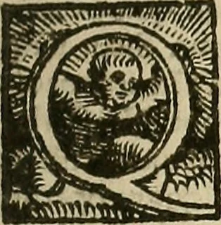 An illustration from Bertrucii Bononiensis, medici sua tempestate famigeratissimi Compendium sive (ut vulgo inscribitur) Collectorium artis medicae : tam practicae quam speculativ[a]e, 1537, leaf 20