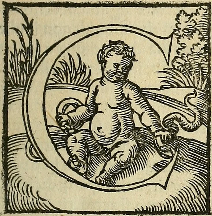 An illustration from Bertrucii Bononiensis, medici sua tempestate famigeratissimi Compendium sive (ut vulgo inscribitur) Collectorium artis medicae : tam practicae quam speculativ[a]e, 1537, leaf 6
