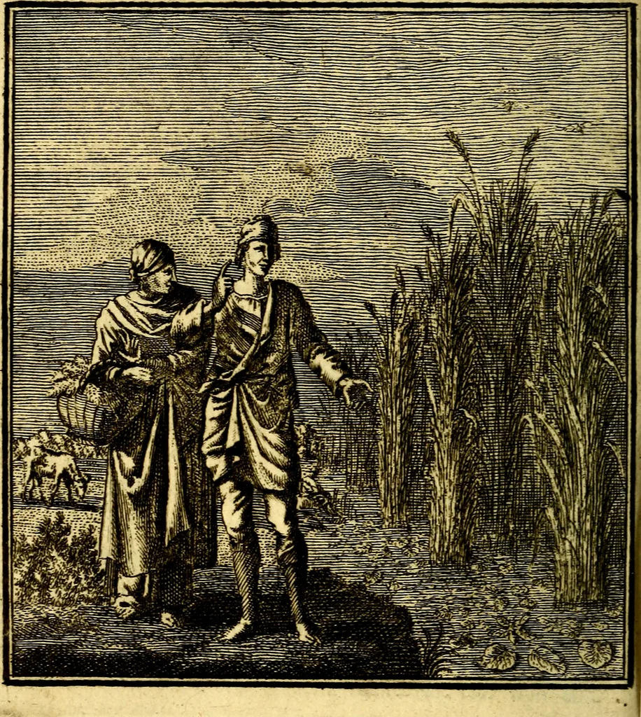 An illustration from Beschouwing der Wereld, 1738, leaf 107
