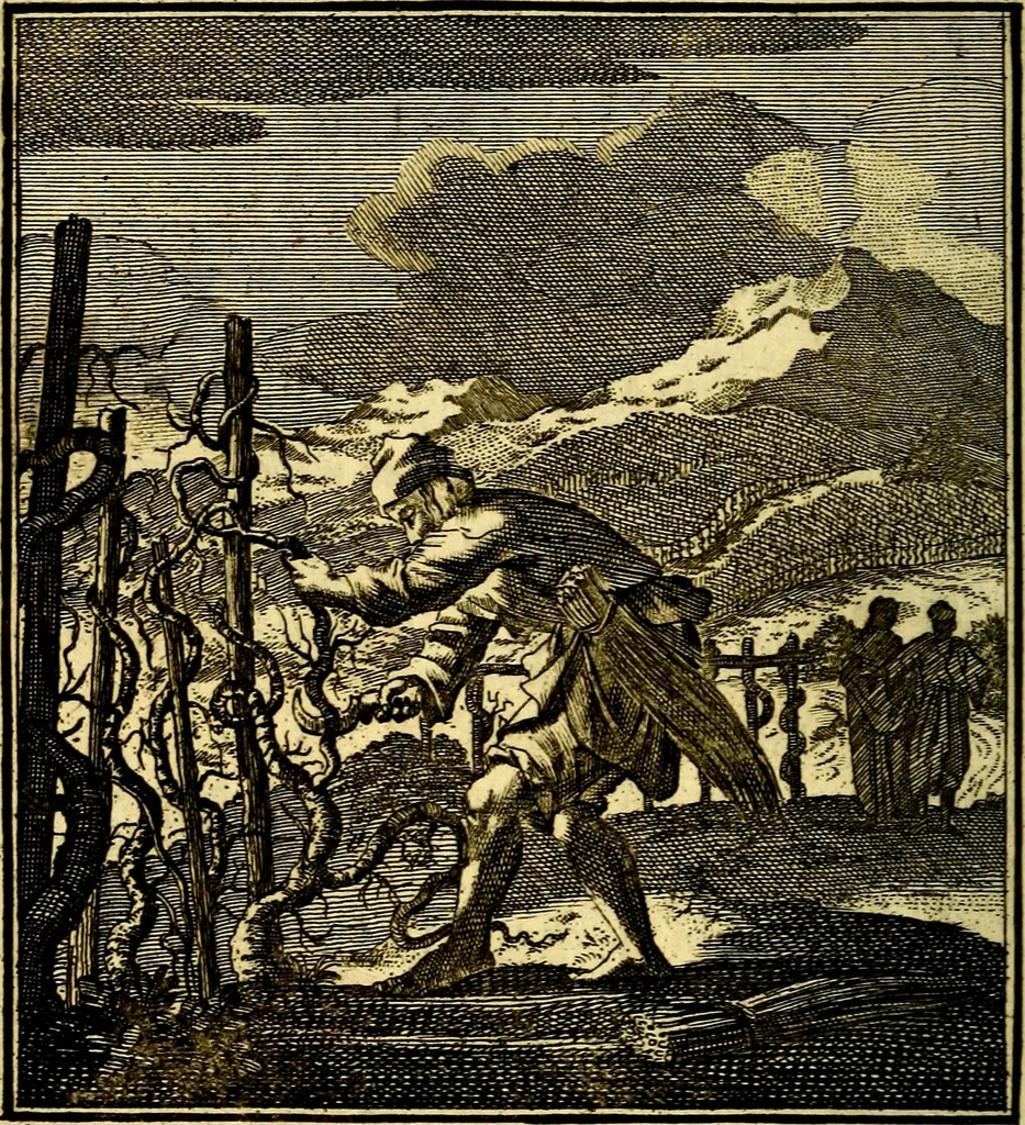 An illustration from Beschouwing der Wereld, 1738, leaf 119