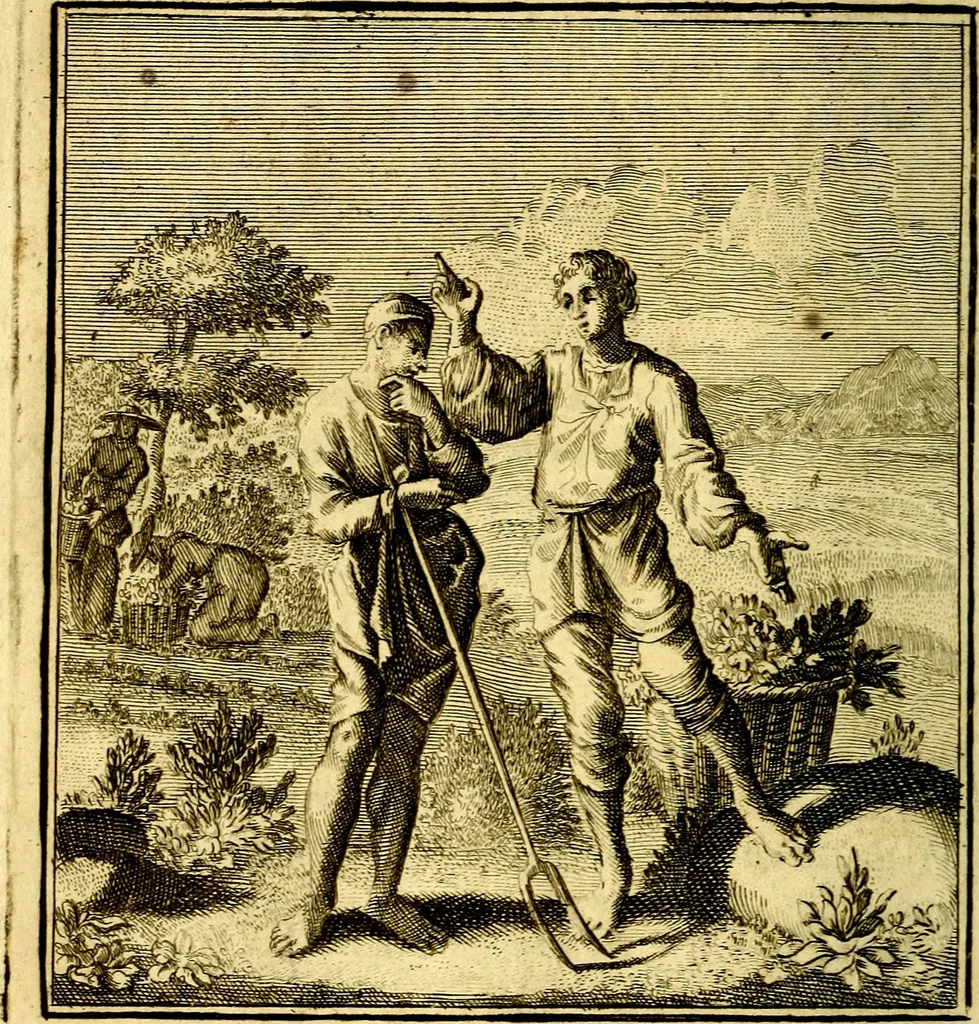 An illustration from Beschouwing der Wereld, 1738, leaf 139