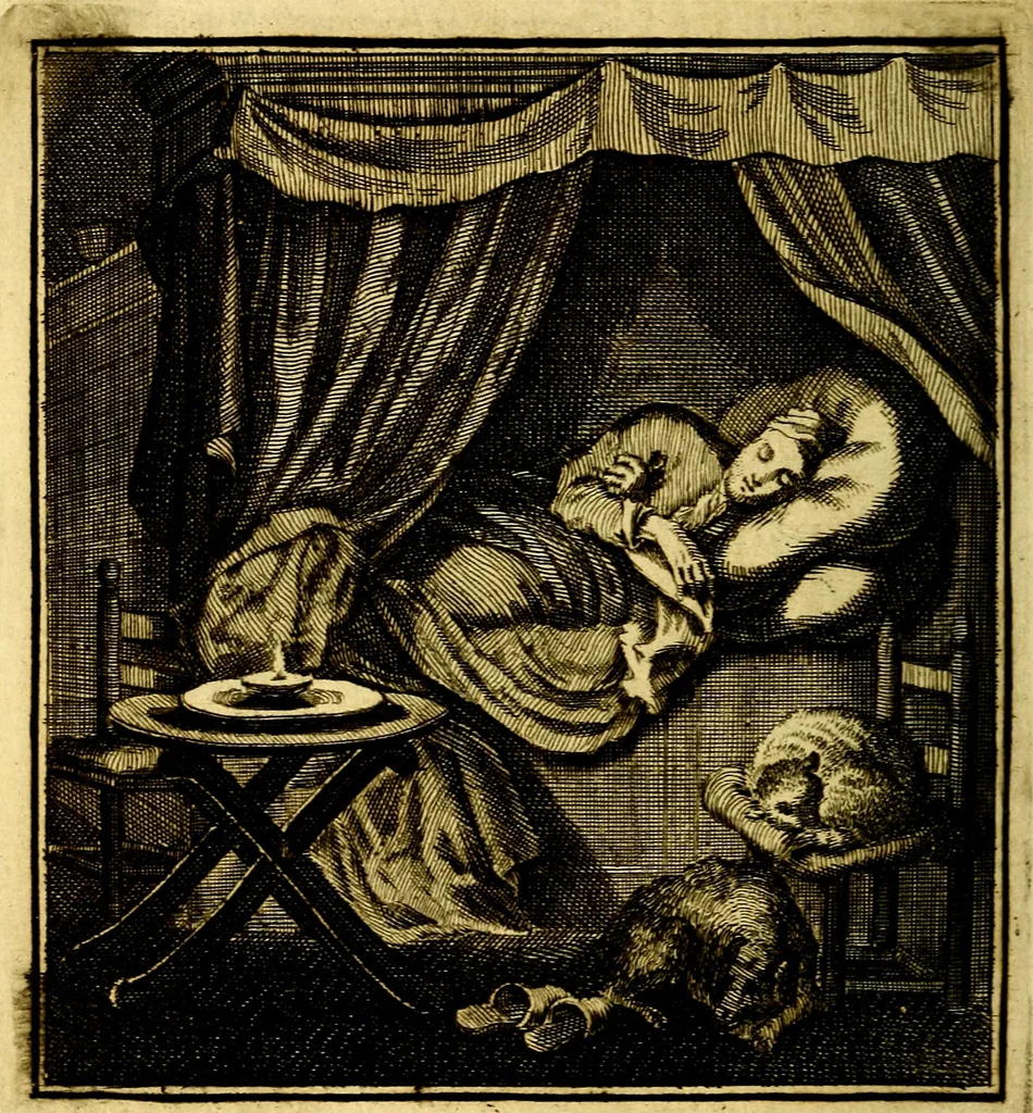 An illustration from Beschouwing der Wereld, 1738, leaf 199