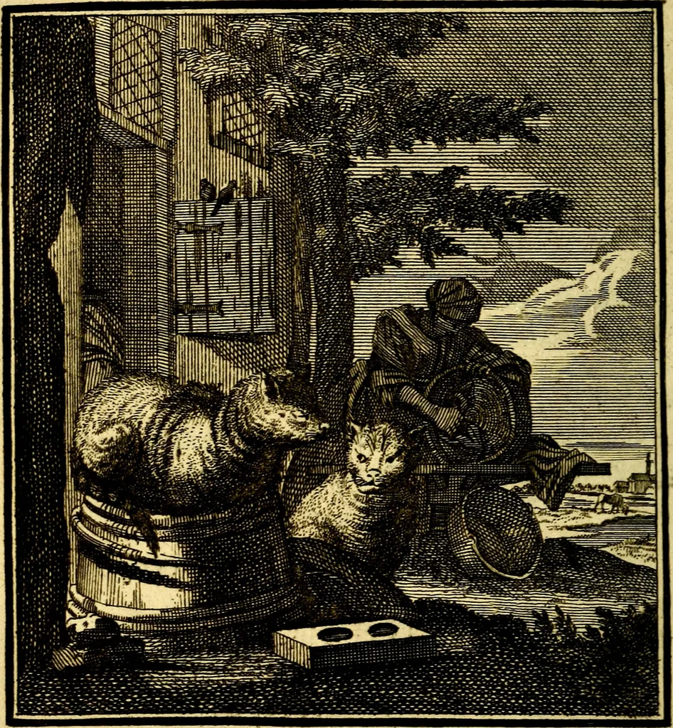 An illustration from Beschouwing der Wereld, 1738, leaf 235