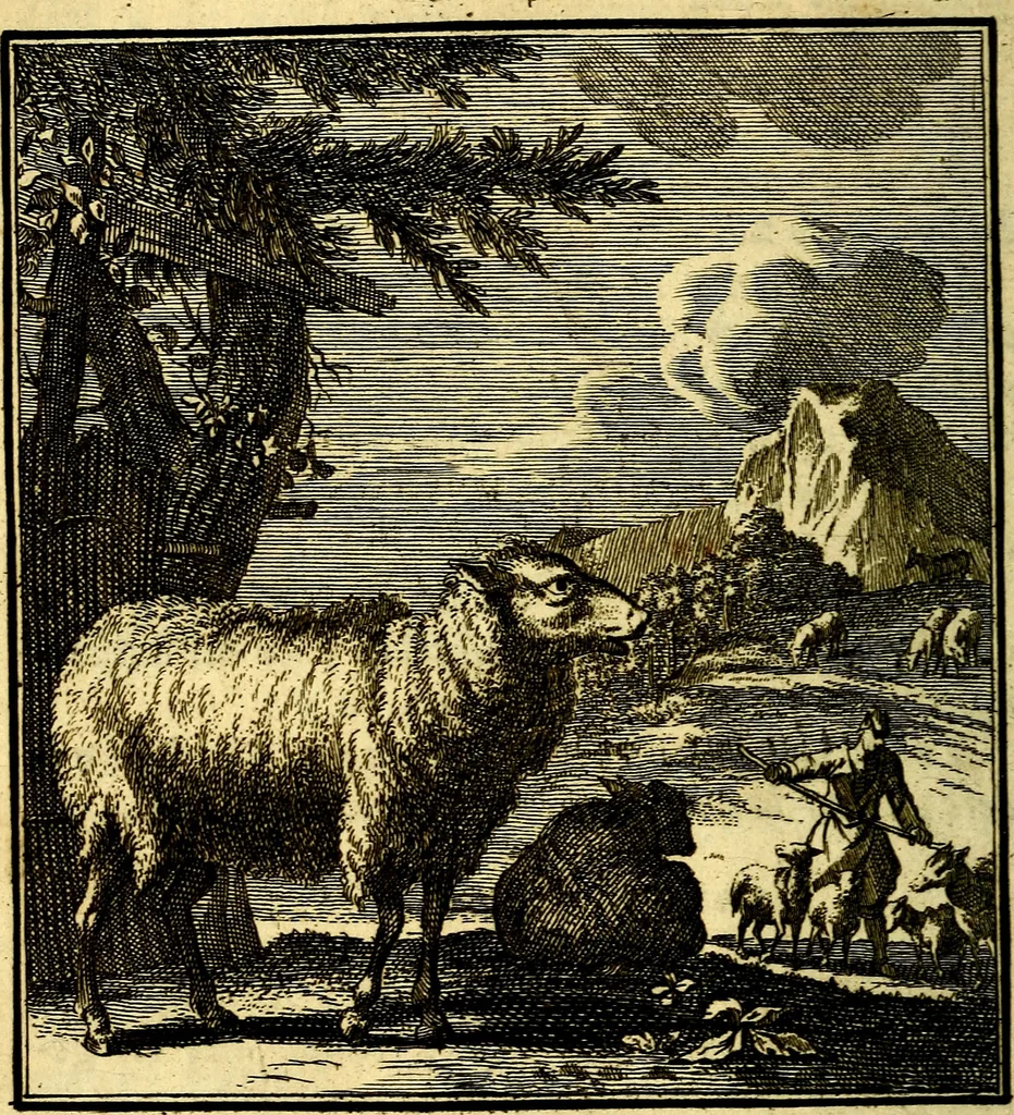 An illustration from Beschouwing der Wereld, 1738, leaf 239