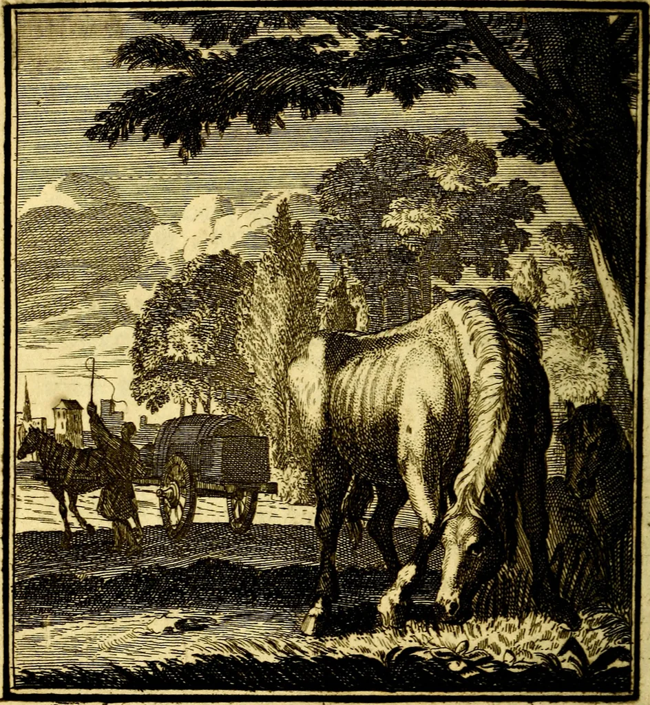 An illustration from Beschouwing der Wereld, 1738, leaf 255