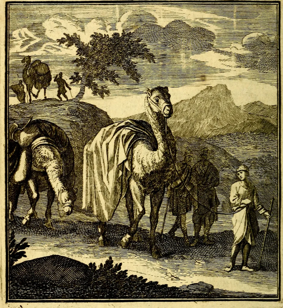 An illustration from Beschouwing der Wereld, 1738, leaf 263