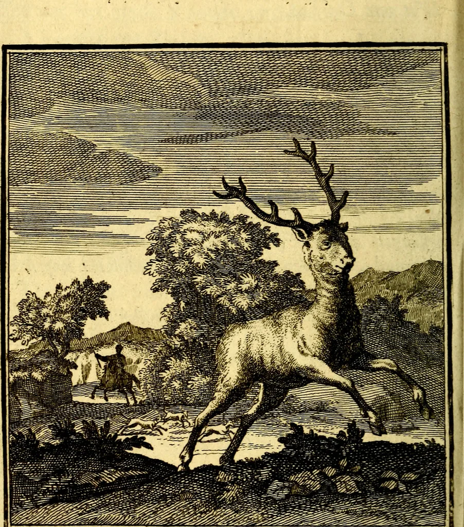 An illustration from Beschouwing der Wereld, 1738, leaf 267