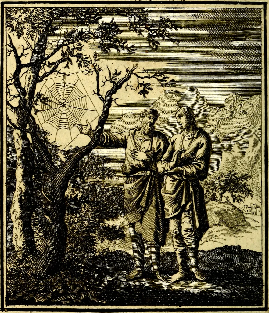 An illustration from Beschouwing der Wereld, 1738, leaf 287