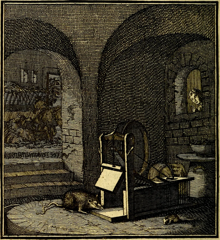 An illustration from Beschouwing der Wereld, 1738, leaf 291