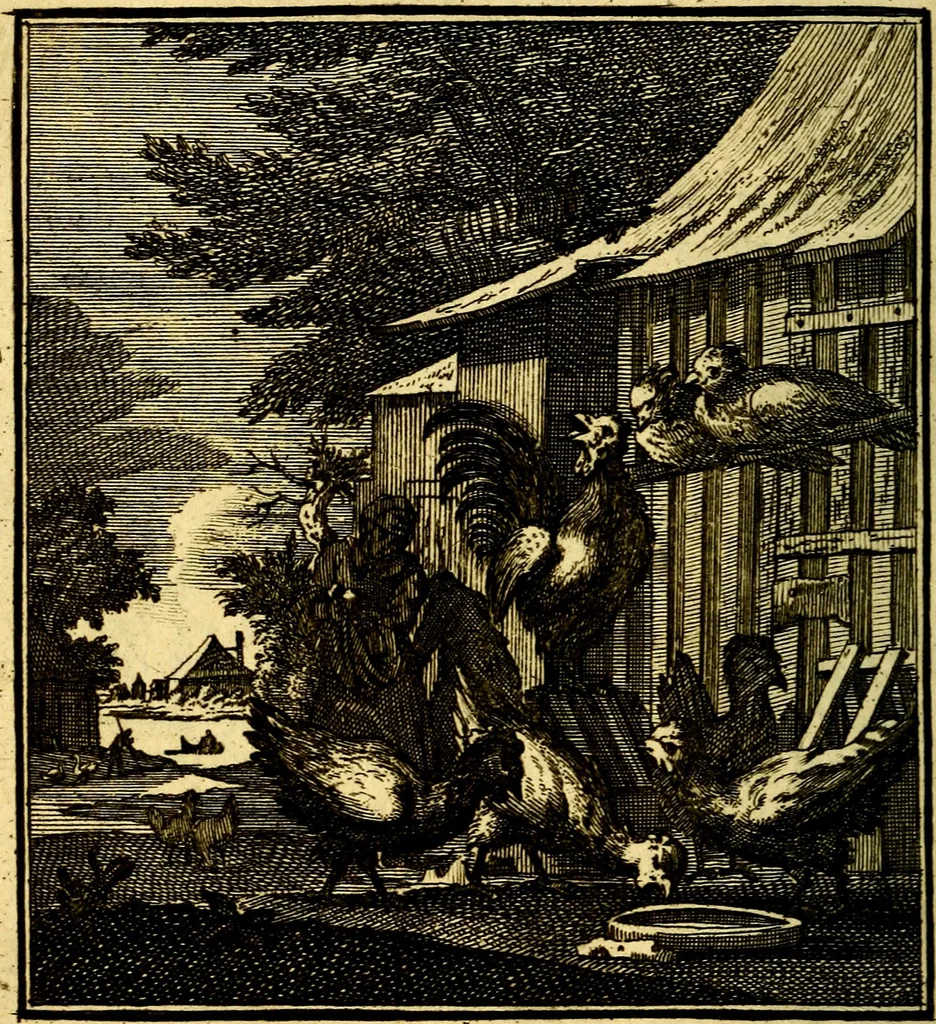 An illustration from Beschouwing der Wereld, 1738, leaf 299