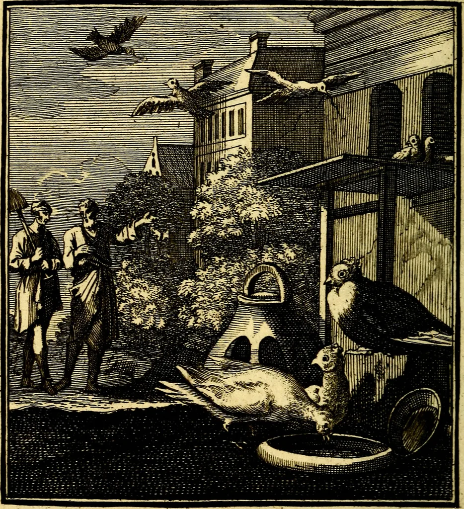 An illustration from Beschouwing der Wereld, 1738, leaf 303