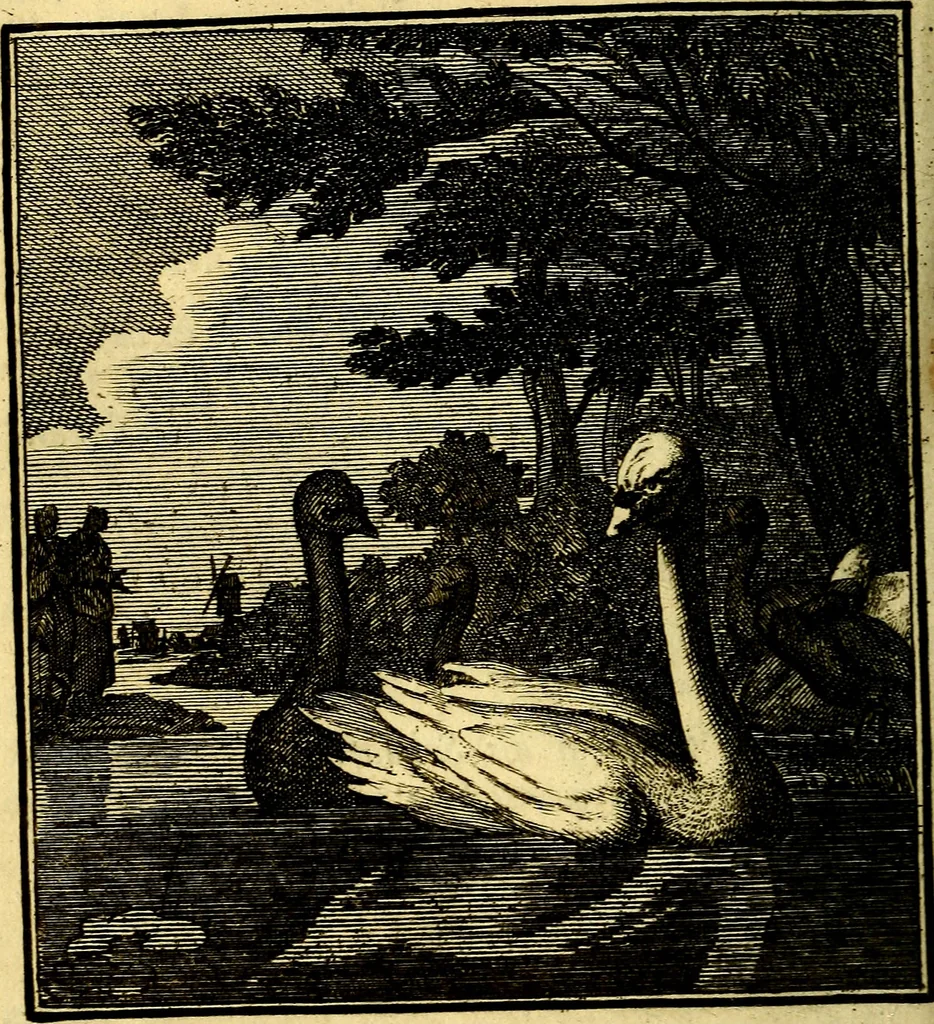 An illustration from Beschouwing der Wereld, 1738, leaf 307