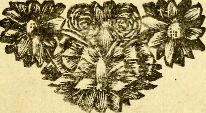 An illustration from Beschouwing der Wereld, 1738, leaf 8