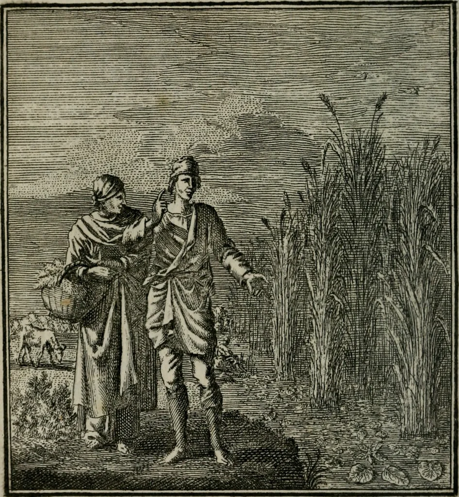 An illustration from Beschouwing der Wereld, 1738, leaf 111