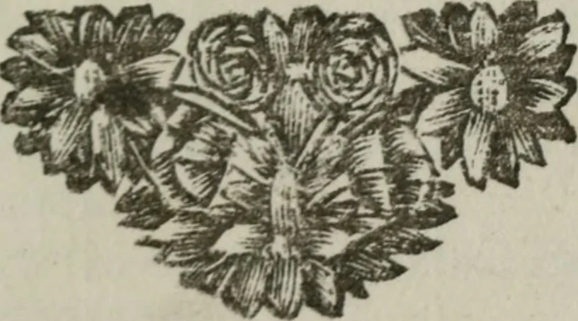 An illustration from Beschouwing der Wereld, 1738, leaf 12