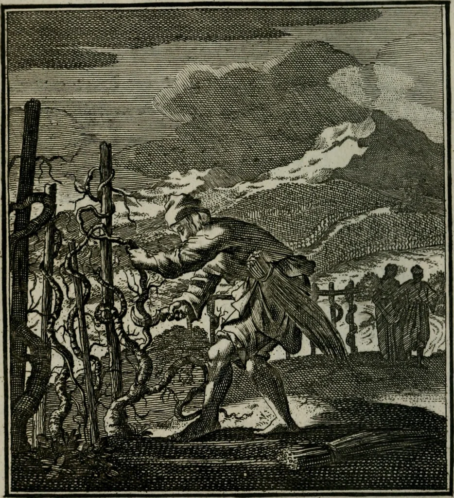 An illustration from Beschouwing der Wereld, 1738, leaf 123
