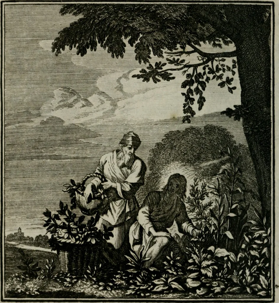 An illustration from Beschouwing der Wereld, 1738, leaf 131
