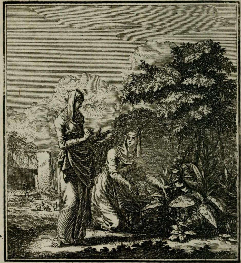 An illustration from Beschouwing der Wereld, 1738, leaf 139