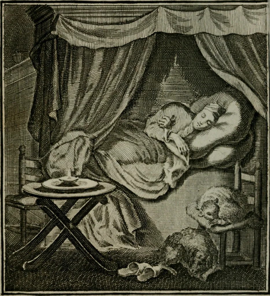 An illustration from Beschouwing der Wereld, 1738, leaf 203