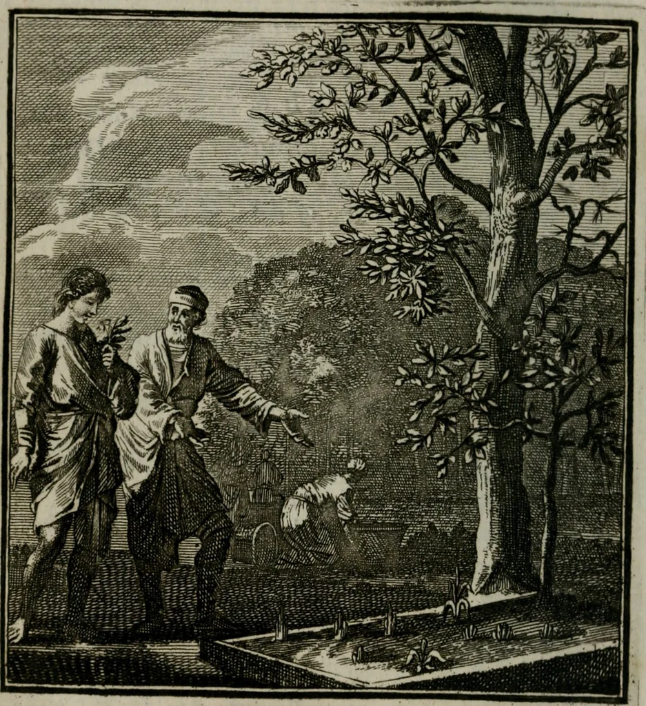 An illustration from Beschouwing der Wereld, 1738, leaf 215