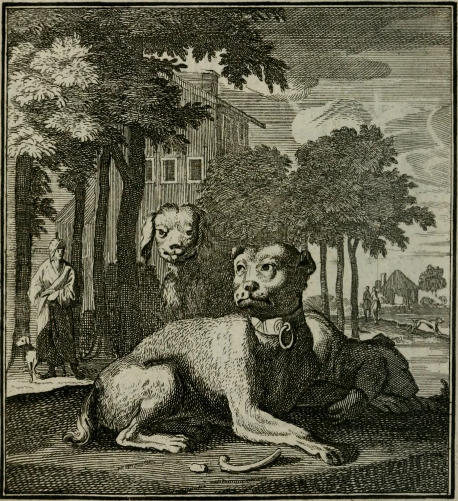 An illustration from Beschouwing der Wereld, 1738, leaf 235