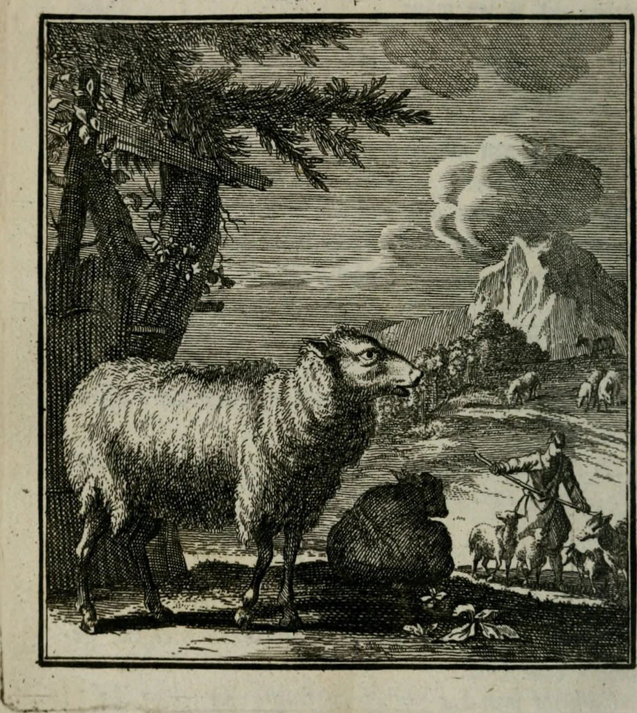 An illustration from Beschouwing der Wereld, 1738, leaf 243