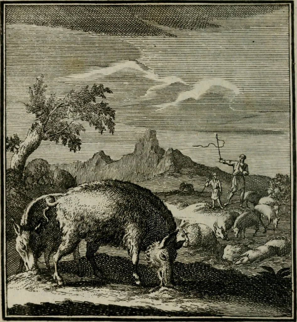 An illustration from Beschouwing der Wereld, 1738, leaf 251