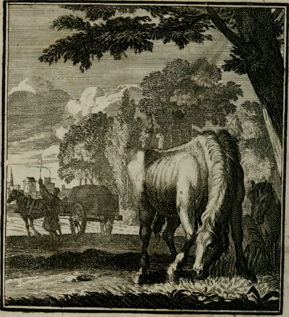 An illustration from Beschouwing der Wereld, 1738, leaf 259