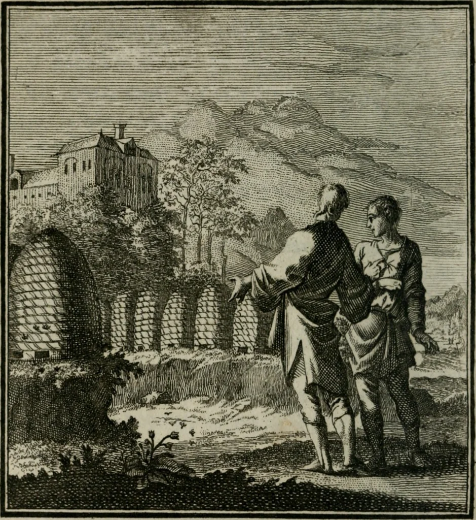 An illustration from Beschouwing der Wereld, 1738, leaf 287