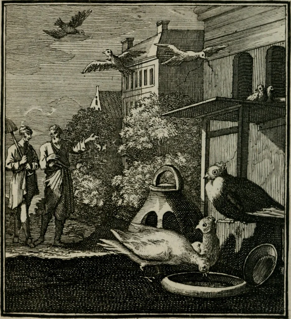An illustration from Beschouwing der Wereld, 1738, leaf 307