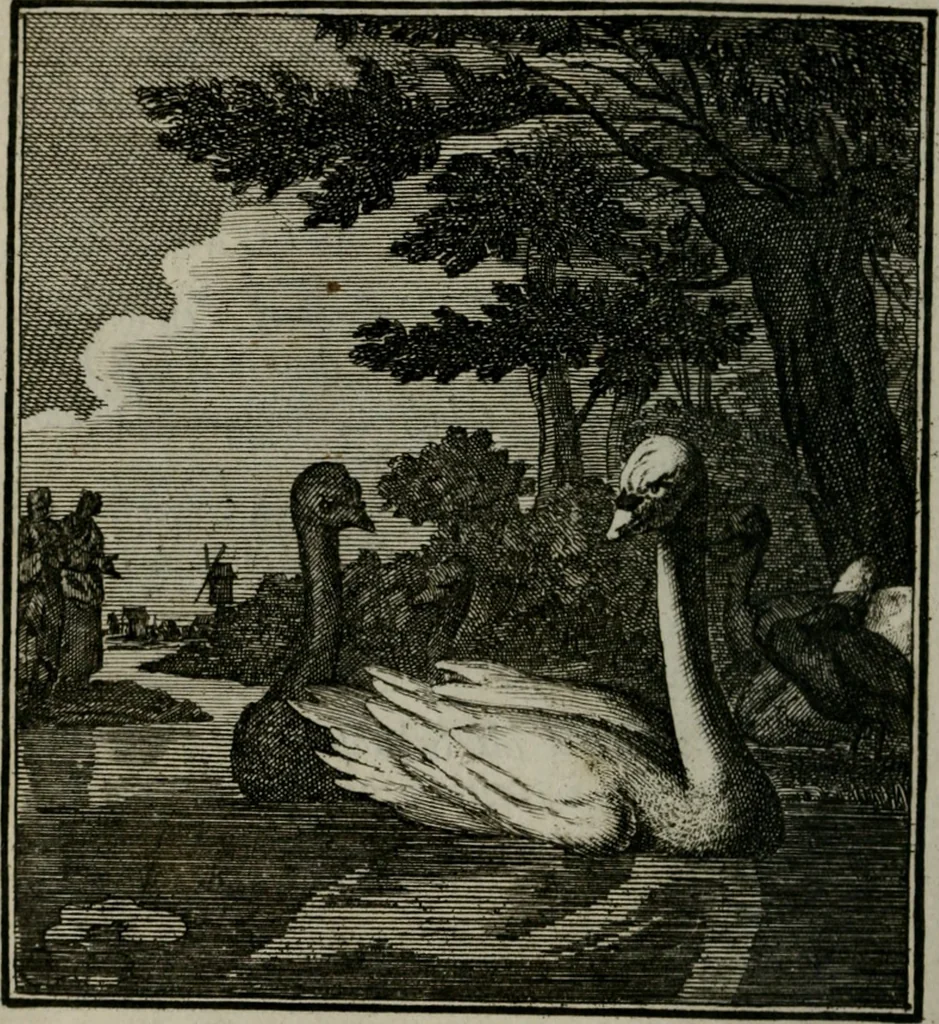 An illustration from Beschouwing der Wereld, 1738, leaf 311