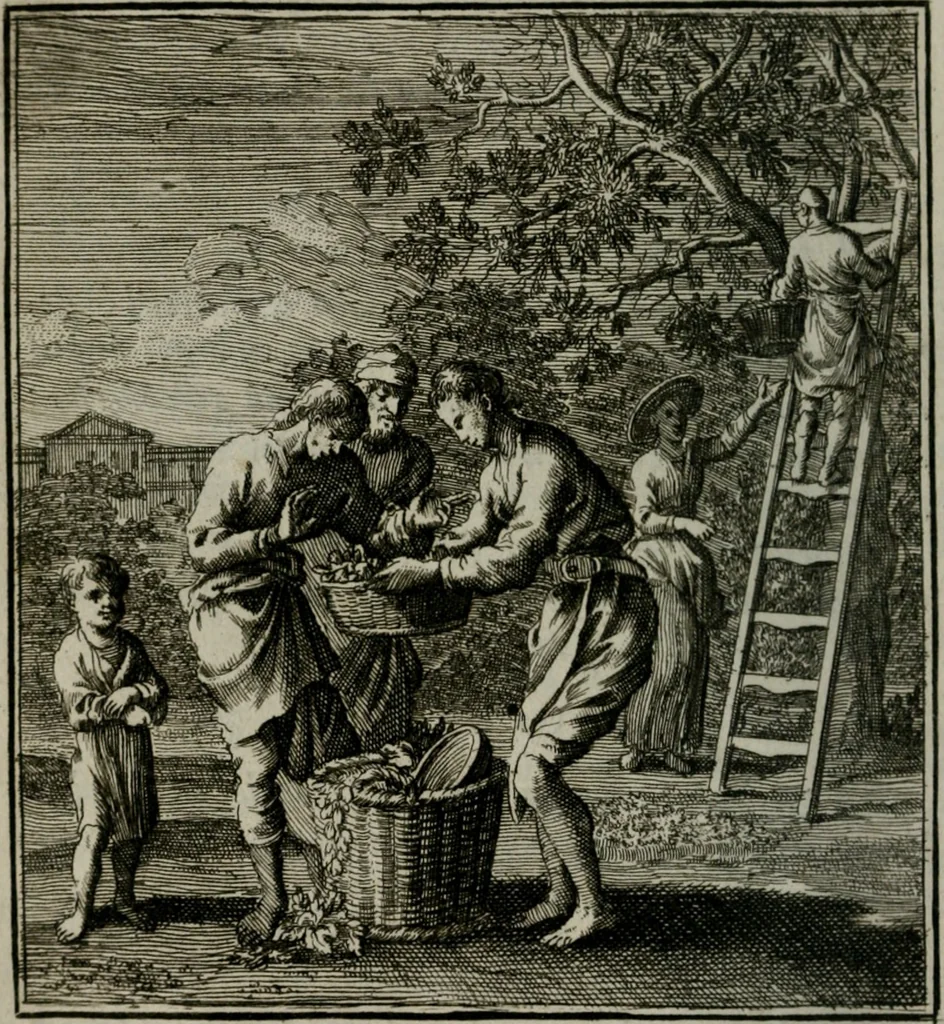 An illustration from Beschouwing der Wereld, 1738, leaf 347