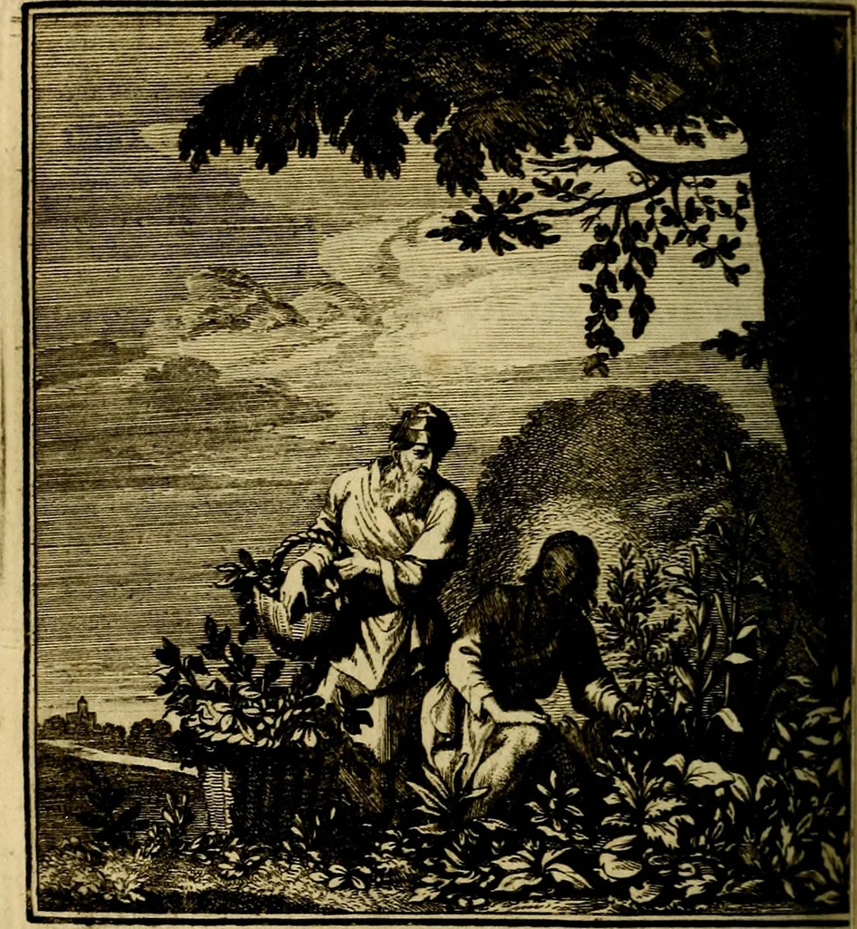An illustration from Beschouwing der wereld : bestaande in hondert konstige figuuren, met godlyke spreuken en stichtelyke verzen, 1708, leaf 125