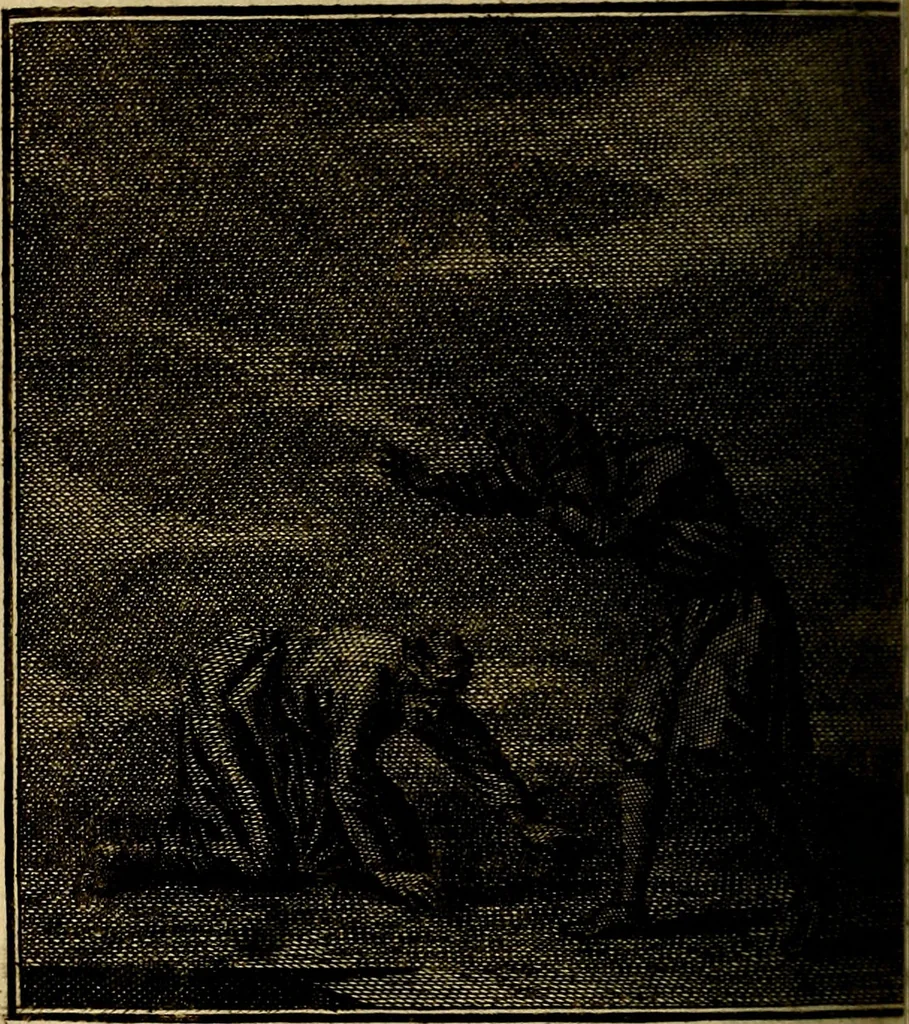 An illustration from Beschouwing der wereld : bestaande in hondert konstige figuuren, met godlyke spreuken en stichtelyke verzen, 1708, leaf 177