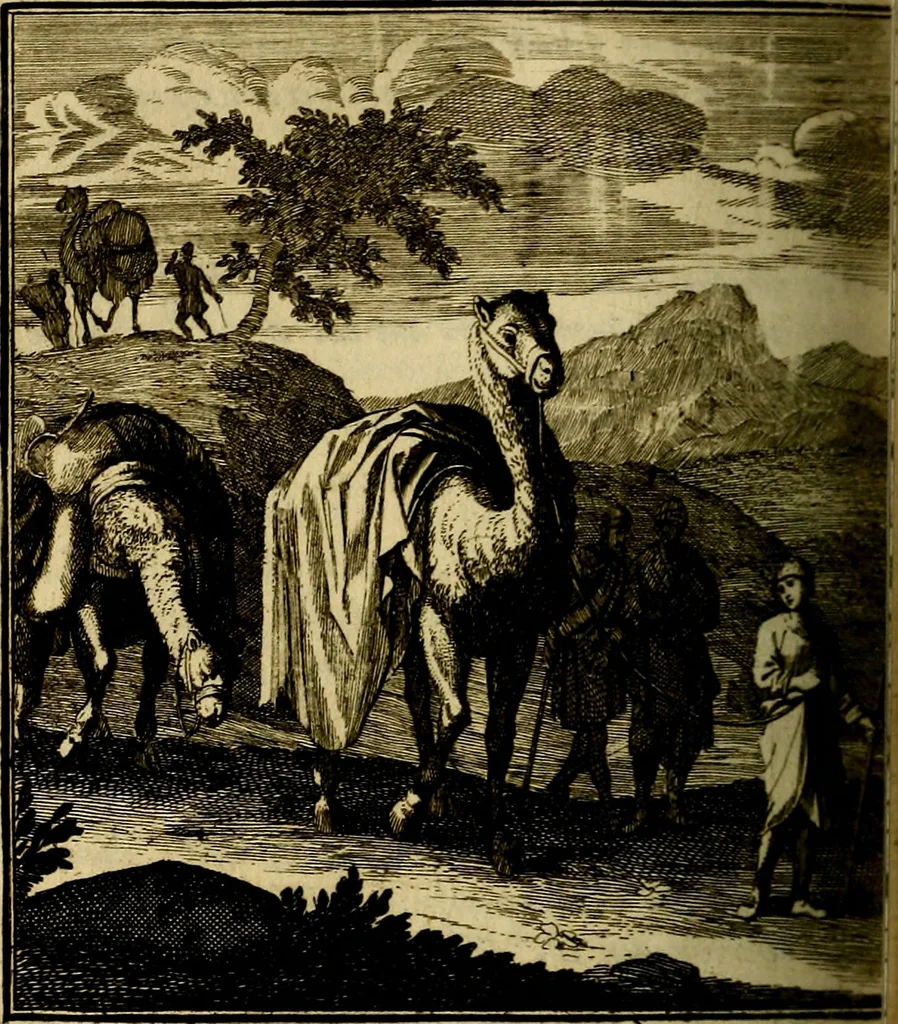 An illustration from Beschouwing der wereld : bestaande in hondert konstige figuuren, met godlyke spreuken en stichtelyke verzen, 1708, leaf 261