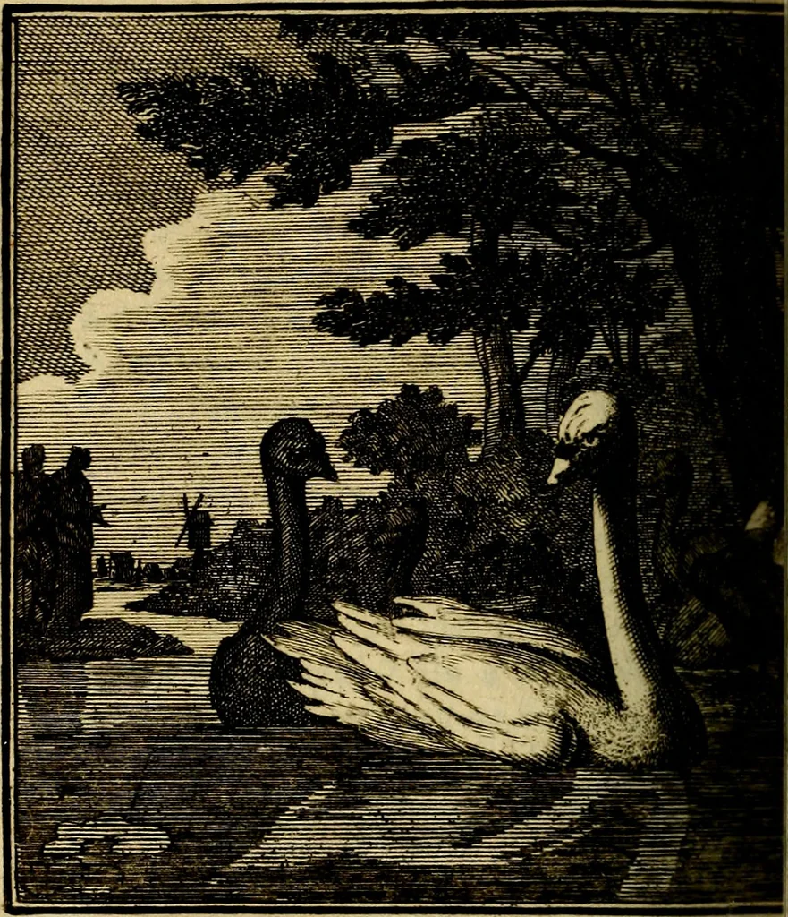 An illustration from Beschouwing der wereld : bestaande in hondert konstige figuuren, met godlyke spreuken en stichtelyke verzen, 1708, leaf 305