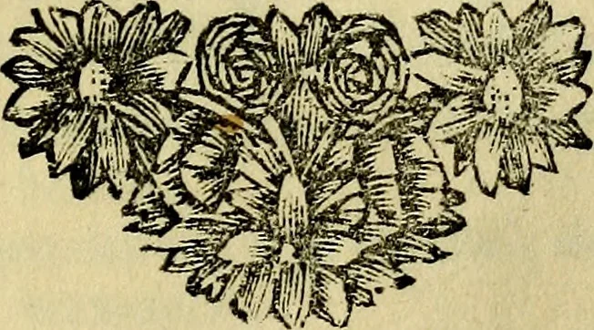 An illustration from Beschouwing der wereld : bestaande in hondert konstige figuuren, met godlyke spreuken en stichtelyke verzen, 1708, leaf 6