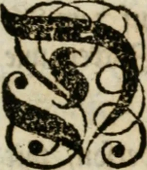 An illustration from Beschreibung der Illumination zu Dressden bey der königlichen sicilianischen in Vollmacht vollzogenen Vermählung : nebst andern dahin gehörigen Vorstellungen und verschiedenen Kupffer-Stichen, 1738, leaf 148