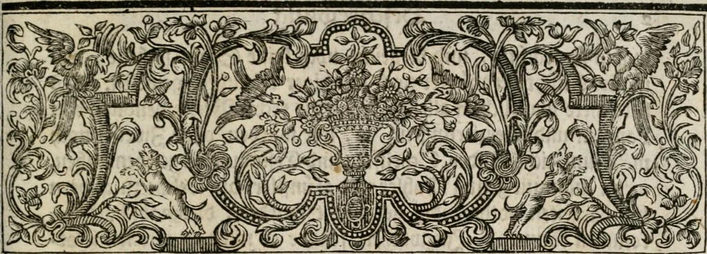 An illustration from Beschreibung der Illumination zu Dressden bey der königlichen sicilianischen in Vollmacht vollzogenen Vermählung : nebst andern dahin gehörigen Vorstellungen und verschiedenen Kupffer-Stichen, 1738, leaf 16